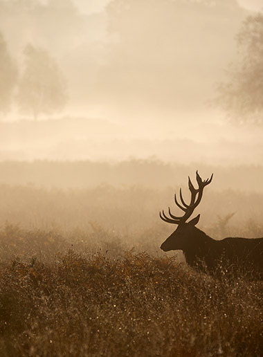 bateau amorceur terre et eau