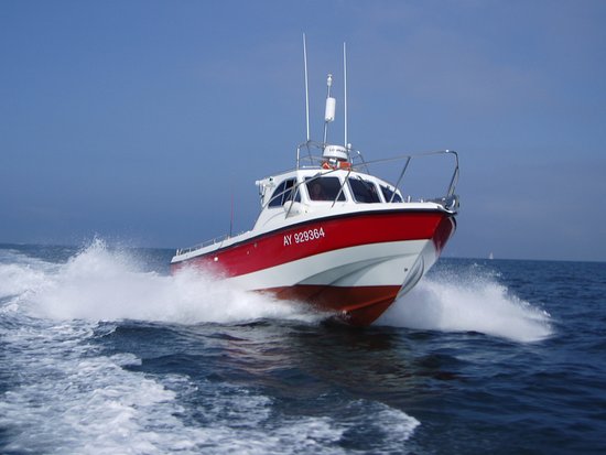 bateau peche 5 metres