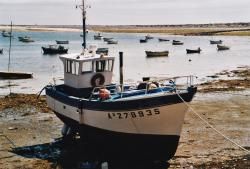 bateau peche bois occasion