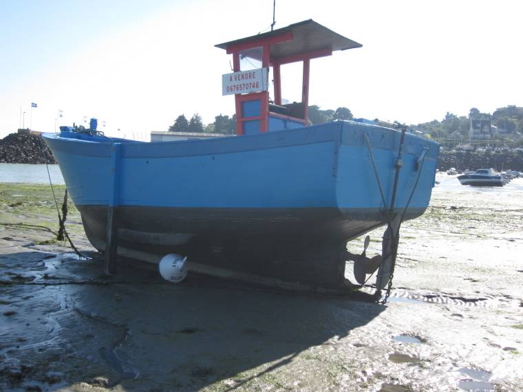 bateau peche bois occasion