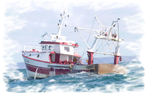 bateau peche crustaces