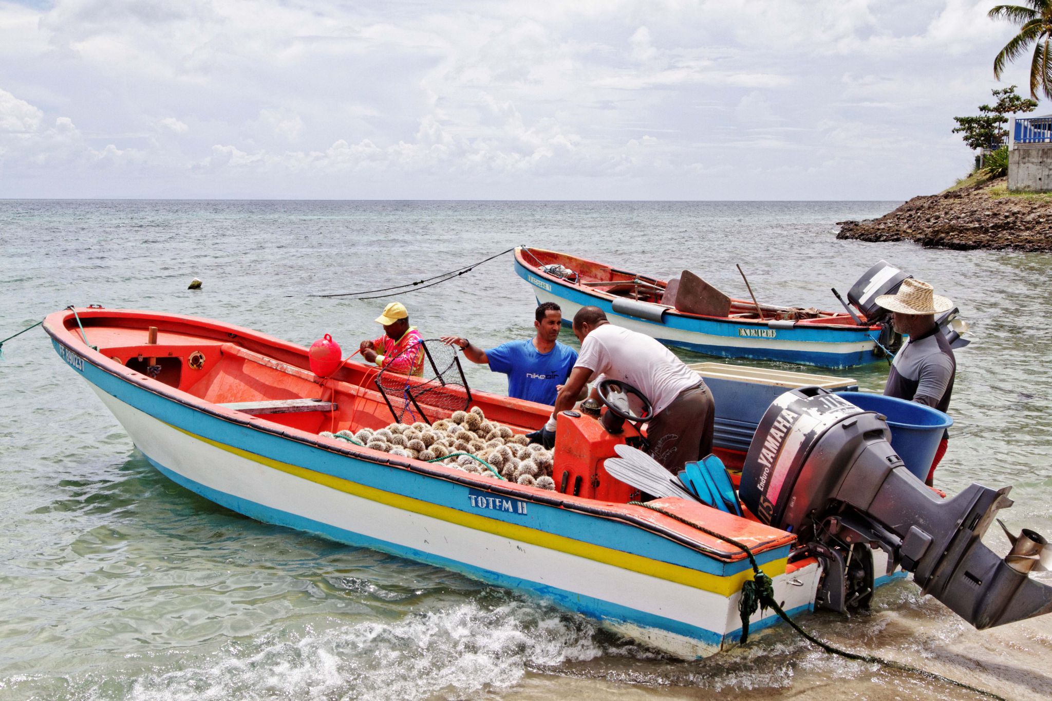 bateau peche martinique