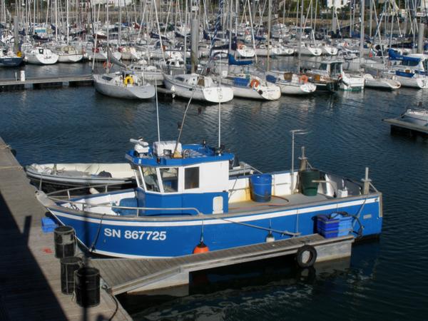 bateau peche mer vendre