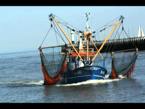 bateau peche nieuwpoort