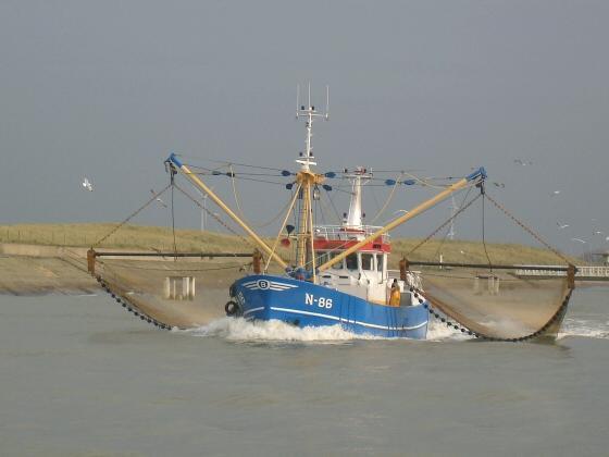 bateau peche nieuwpoort