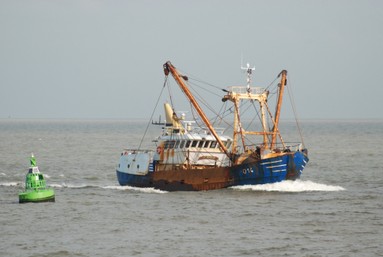 bateau peche nieuwpoort
