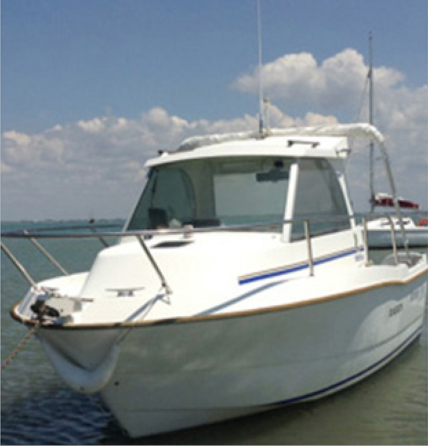 bateau peche promenade 6m occasion