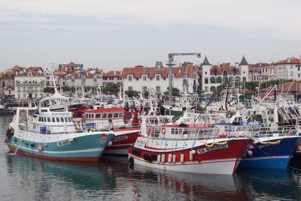 bateau peche saint jean de luz