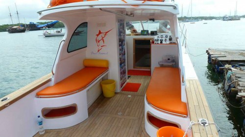 bateau peche sportive a vendre