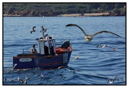 bateau peche synonyme